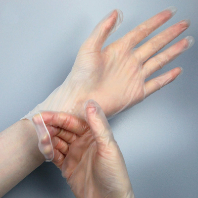 Clear Powder Free Vinyl Disposable Plastic Gloves Smooth Touch