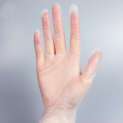 Clear Powder Free Vinyl Disposable Plastic Gloves Smooth Touch
